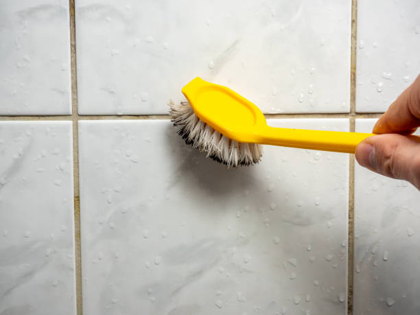 Best Fast Mold Removal  in Solvang, CA