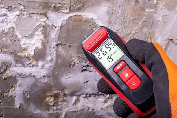 Best Mold Removal Specialists  in Solvang, CA